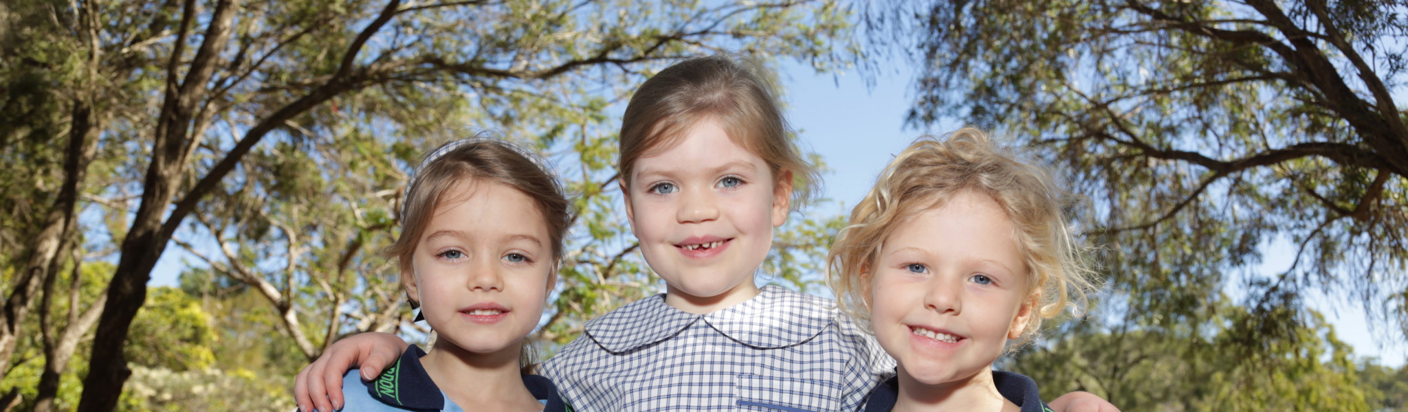 Bardon State School